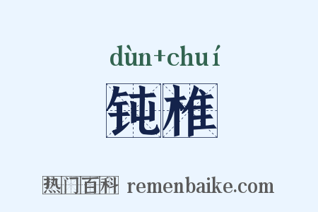 钝椎是什么意思的图片